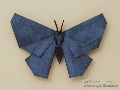 Butterfly how to origami butterfly. Butterfly