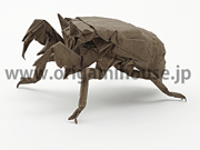 Cicada Nymph