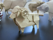 sheep